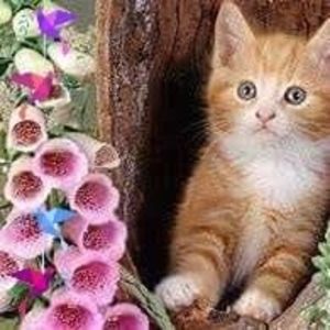 Meet your Posher, Barbara